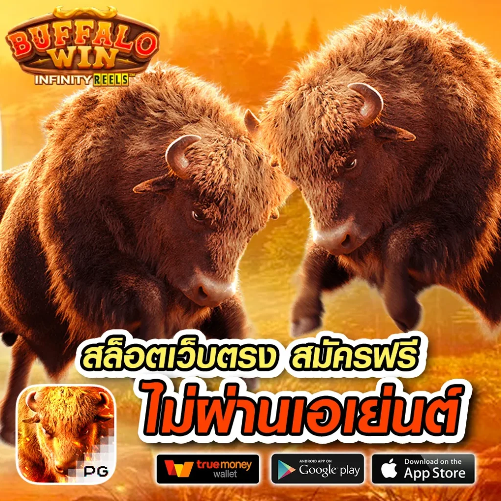 allone-336 ฝากถอน 24